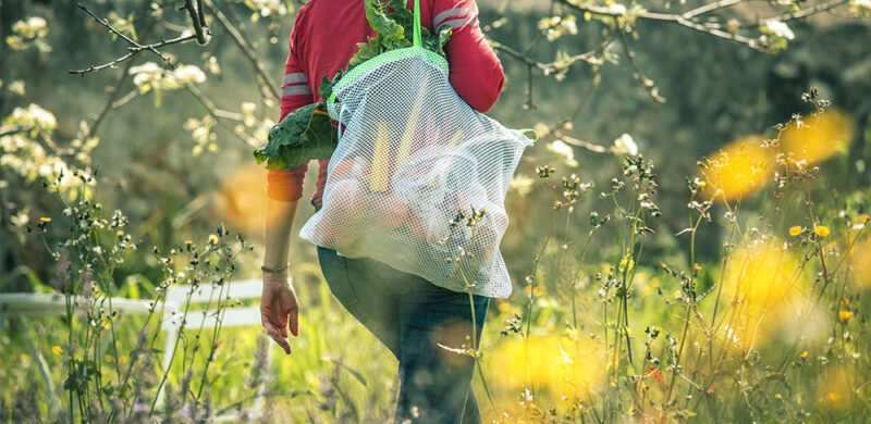 Bolsa reutilizable de carga 10kg BIG BAG de BOLSETA llena de verdura, frutas y hortalizas