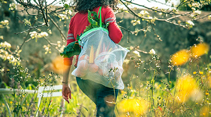 Bolsa de carga BIG BAG con verduras, frutas y hortalizas