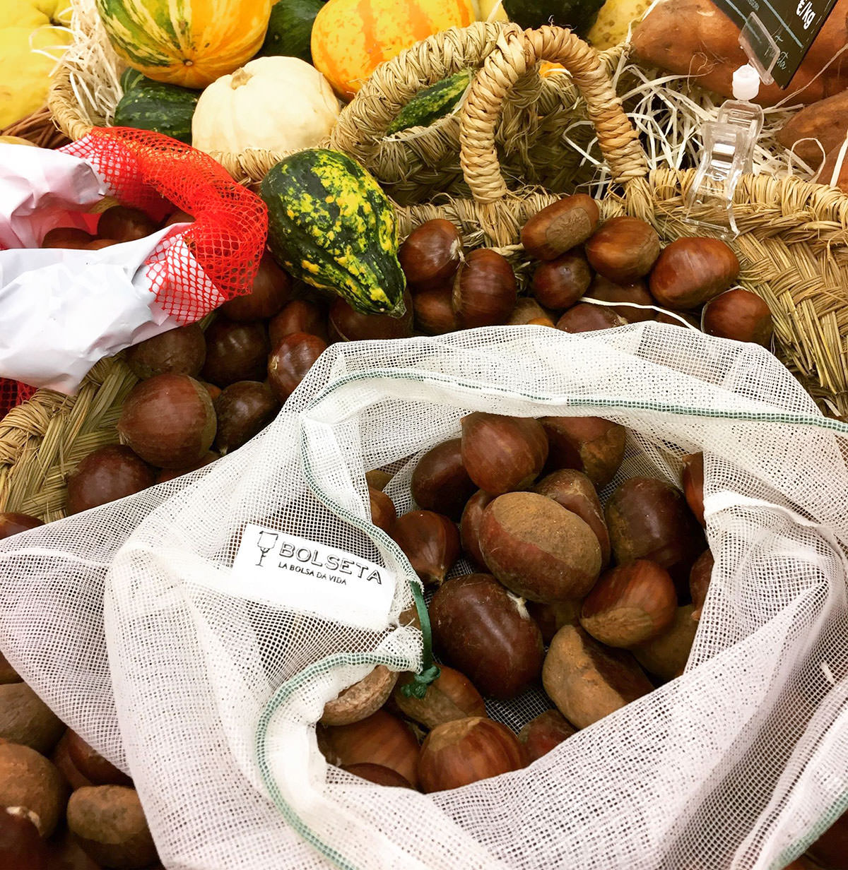 ¿Cómo vas a celebrar tu Castañada/Halloween?