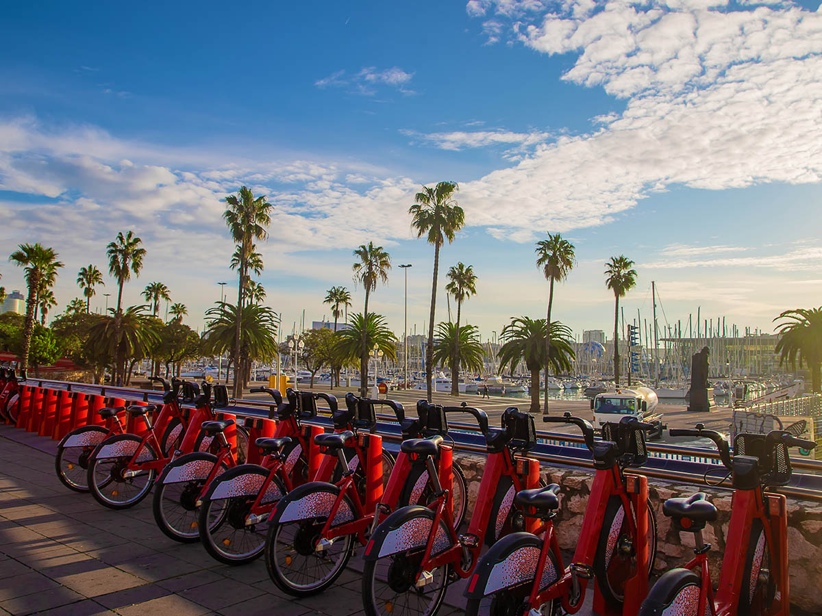 Bicicletas transporte ciudad