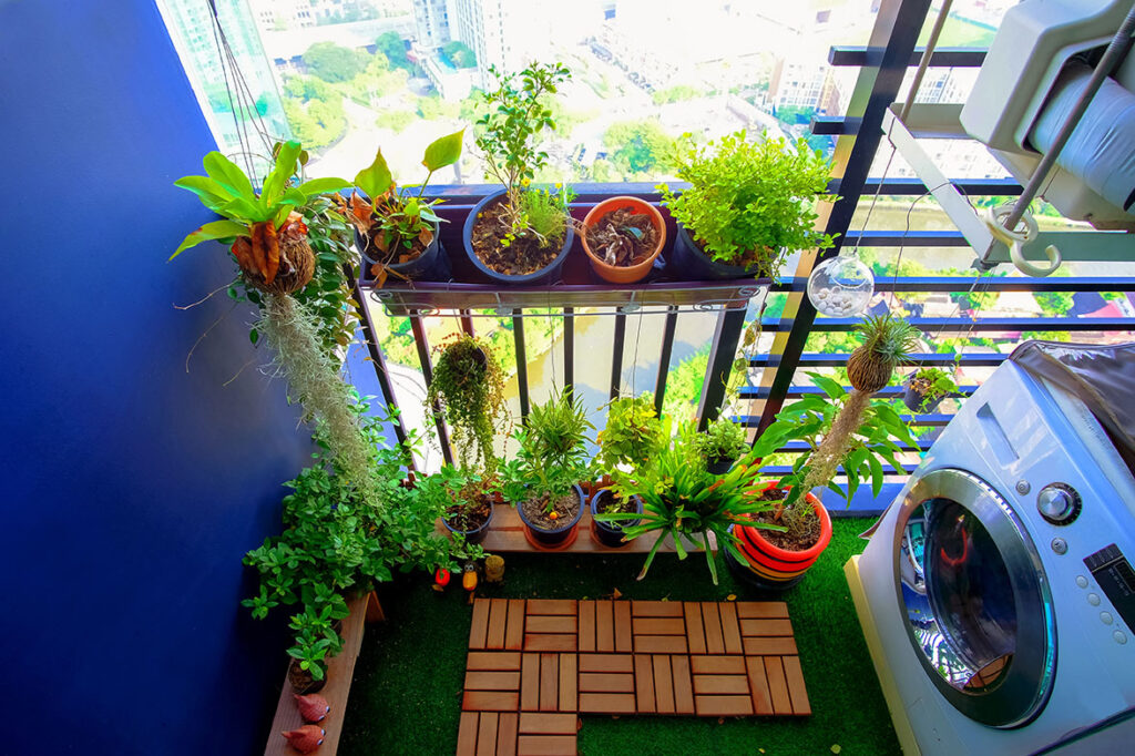 Fomentando la biodiversidad desde tu balcón