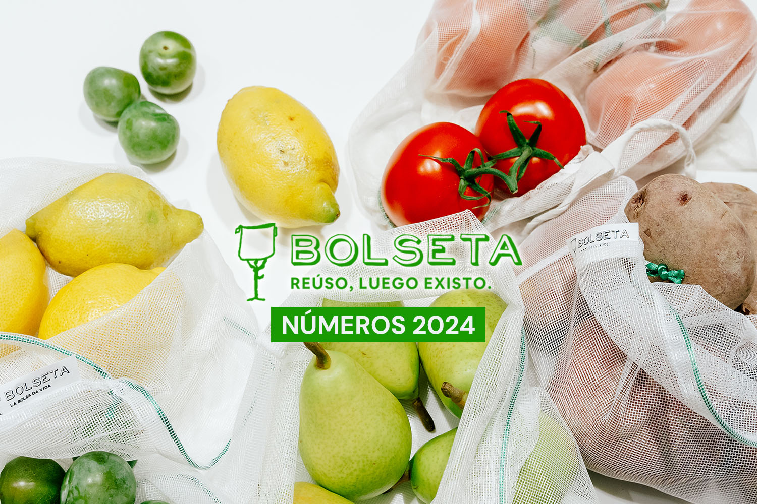 Números de cierre del 2024